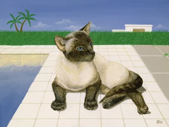 Siamkatze an einem Schwimmbecken