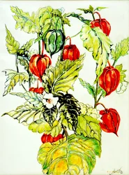Chinesische Laterne, 2005