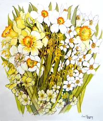 Narzissen, Narzissen, Forsythien und Primeln, 2000