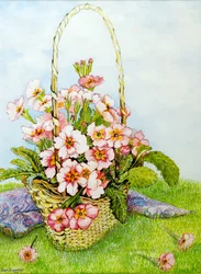 Rosa Primeln in einem Floristenkorb mit einem Paisley-Schal