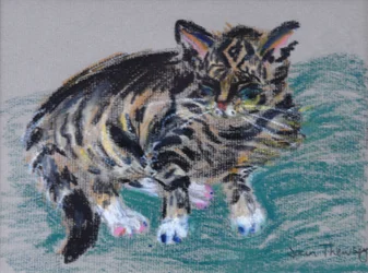 Getigerte Katze, 2005