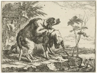 Zwei paarende Hunde