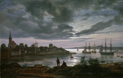 Larvik im Mondlicht