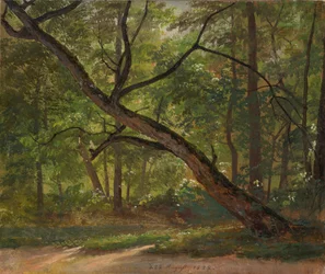 Partie im Großen Garten bei Dresden