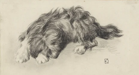 Schlafender Hund