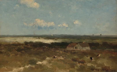 Dünenlandschaft