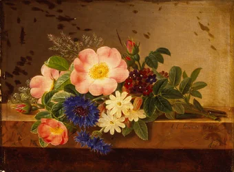 Wildblumen, Kornblumen und andere Blumen auf einem Sims
