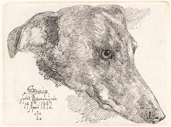 Hundekopf, Snip