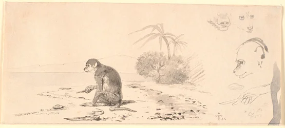 Der Affe. Rechts Studien von Affenköpfen usw.