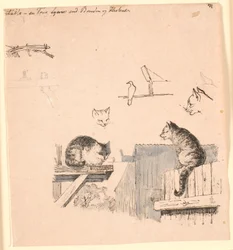 Die zwei Katzen. Illustration zu Kaalunds "Fabler for Børn"