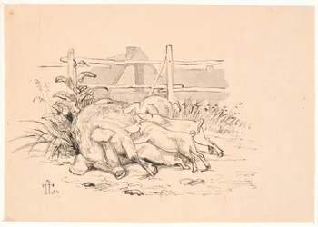 Die Schweine