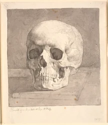 Schädel, von vorne gesehen