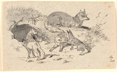 Der Fuchs
