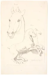 Studien nach antiken Skulpturen. Oben ein Pferdekopf, unten ein Relief mit zwei Pferden