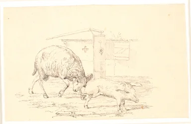 Der Widder und das Schwein. Illustration zu Kaalunds "Fabler for Børn"