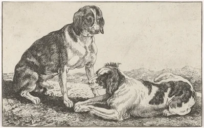 Zwei Hunde