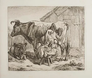 Kuh mit Kalb beim Melken
