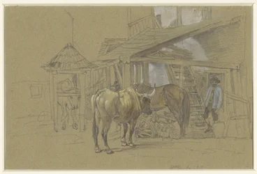 Ochsen und ein Pferd beim Schmied