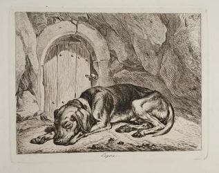 Der Hund Legere