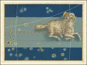 Widder - Johann Bayer