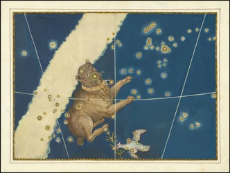 Großer Hund - Johann Bayer
