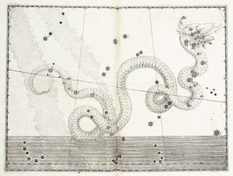 Konstellation von Serpens Caput und Serpens Cauda, ca. 1603