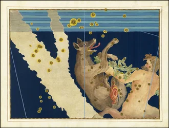 Lupus und Centaurus