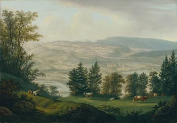 Umgebung der Ruine Habsburg