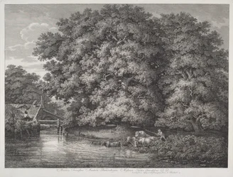 Die Mühle bei den großen Eichen