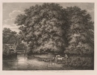 Die Mühle bei den Großen Eichen
