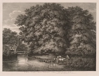 Die Mühle bei den großen Eichen