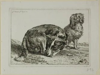 Zwei ruhende Hunde, aus Die Zweite Thierfolge