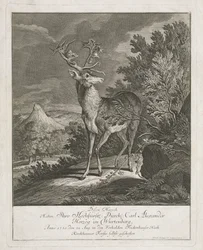 Ein prächtiger Hirsch in einer Landschaft