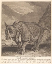 Nashorn
