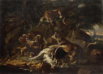 Raubtiere und gerissener Hirsch