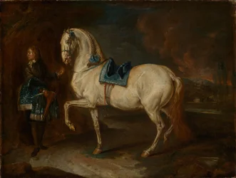 Stallmeister mit Schimmel