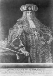 Karl VI. (1685-1740), Heiliger Römischer Kaiser