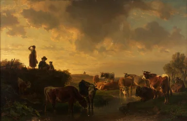 Abend auf der Viehweide
