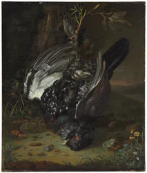 Ein Birkhahn in einer bewaldeten Landschaft, 1747