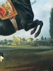Ein schwarzes Pferd bei der Ausführung einer Courbette (Detail von 65652)