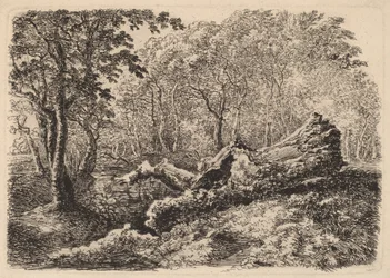 Verfallener Baumstamm