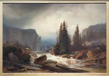 Der Wildbach