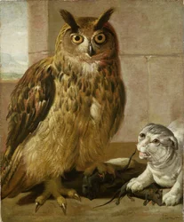 Uhu und Katze mit toten Ratten