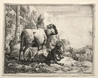 Ziege mit Glocke, 1665