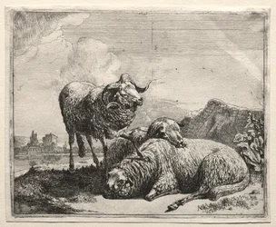 Widder und zwei Schafe, 1665