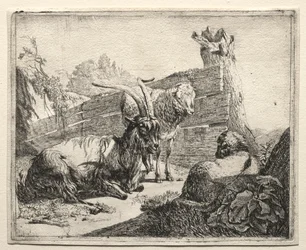 Die Hecke, 1665