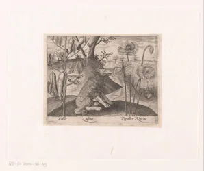 Serie von Drucken mit Blumen und Tieren in einer Landschaft