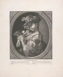 Die Turteltaube