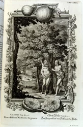 Kupferstich aus 
