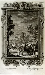 Opferung von Wildstieren